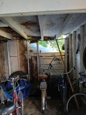 Dream Home Renovations