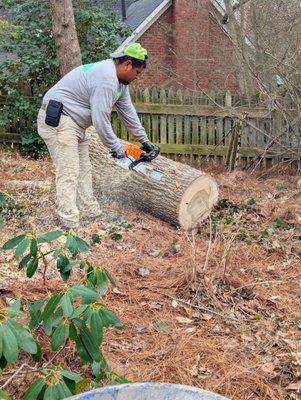 Gil's Tree Service & Lawn Care