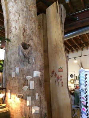 Darling Botanical Co