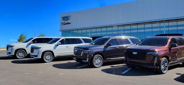 Covert Cadillac - Bee Cave