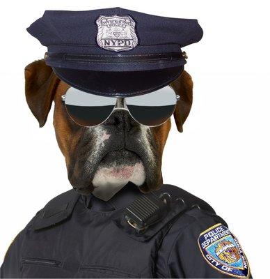 Pet Pampering Patrol