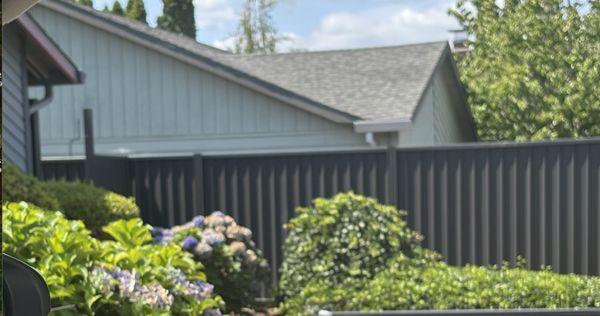 This is the standard privacy fence. The color is monument. It replaced a burned down arborvitae hedge.