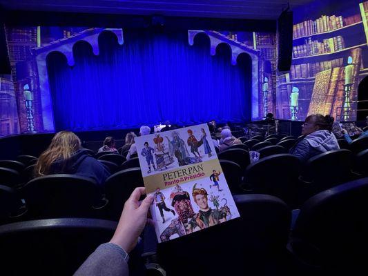 11/29/2025 Peter Pan Panto - Orchestra seat G108/109