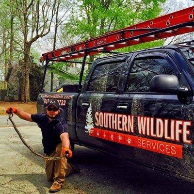 Southern Wildlife Services