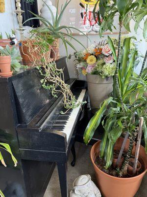 Big Dom's Bagel Shop