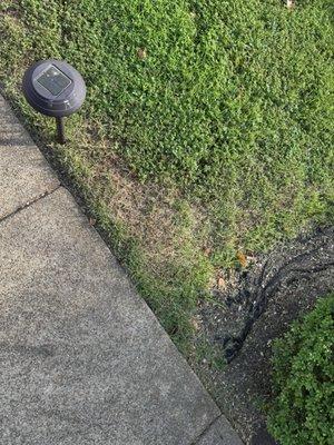 Levan's Lawn & Landscape