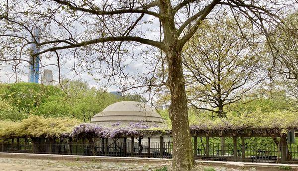 This is a side view so you see the length. 05/12/21