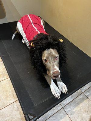 Jeanine Paxton -RE/MAX ONE