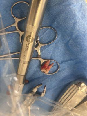 Houston Oral Surgery & Dental Implant Center