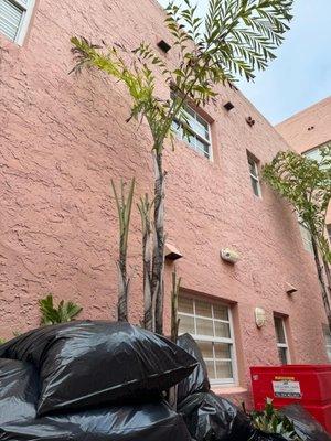 Bravo’s Landscaping and Irrigation