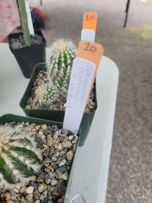 Jenks Herb Festival