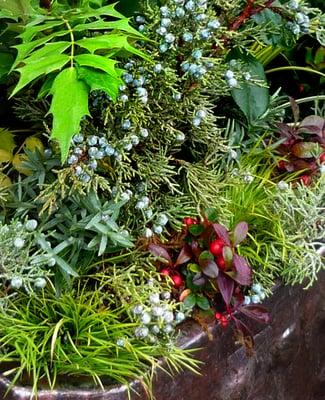 Terraccord Landscapes