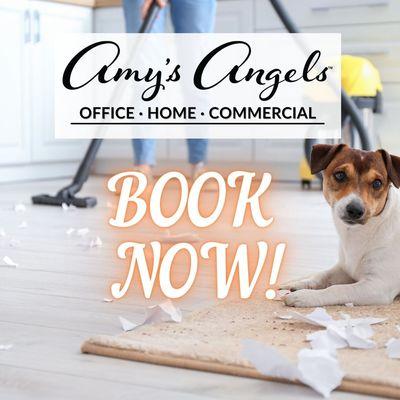 We are also child-safe! We clean up their mess so you can relax! Call today (310) 845-5338