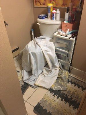 Hopefully you don't get matched with a Roomate like mine..came home from work to the shower curtain ripped off and wrapped around the toilet