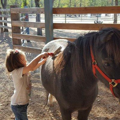Roughout Ranch Foundation