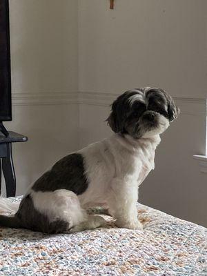 Phe Phe's House of Hair