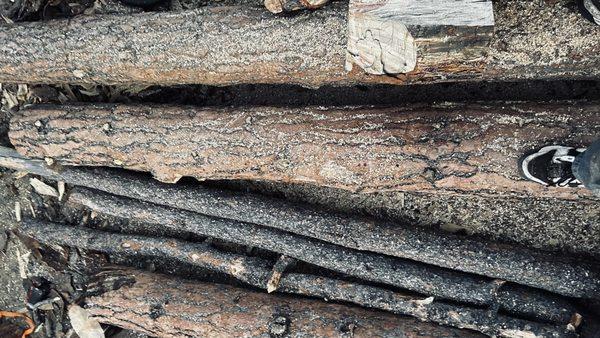 Sully‘s Woodchucking