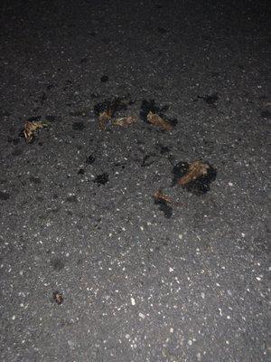 Hidden Valley Terraces Apartment Section I