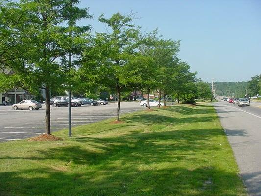 Forrester Quality Tree Experts