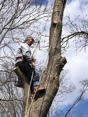 Bob's Tree Service