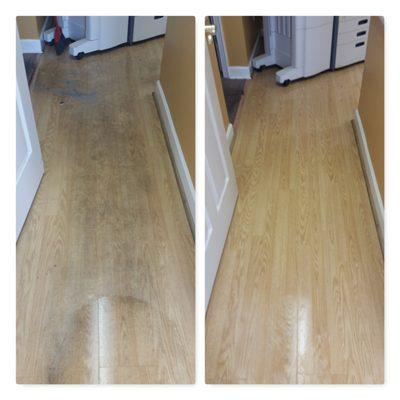 ProAction Carpet Care