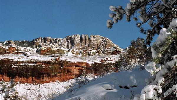 My House Property Services