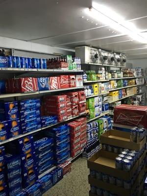 Many types of beers!