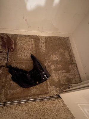 Charlotte City Junk Removal