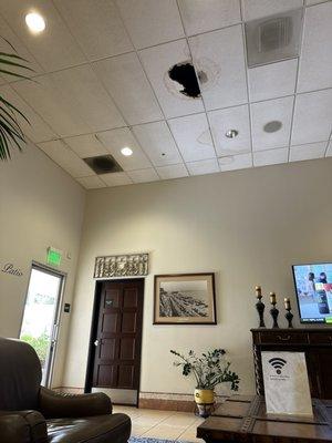 Lexus Santa Monica Service