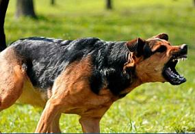 Law Office Of Kennedy & Associates