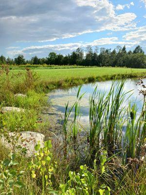 Big Lake RV Park & Campground