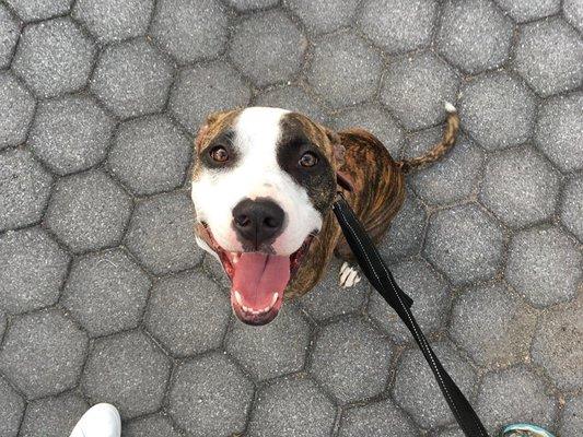 Dr Joan's Veterinary Hospital