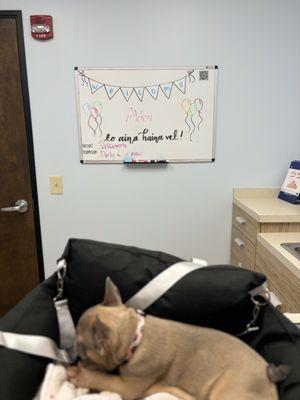 Aina Haina Chop Suey