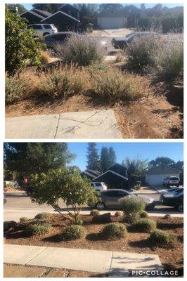 805 Landscaping And Maintenance