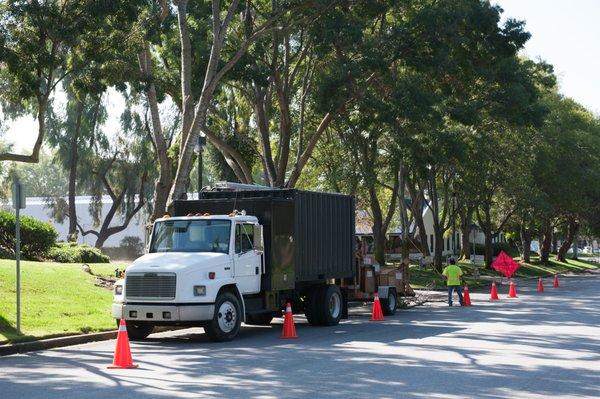 Paul Bauman's Tree Service