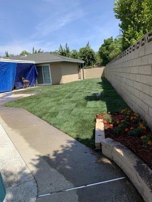 Armando's Tree Service