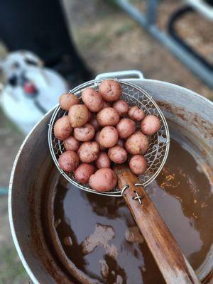 Bob's Sandwich Shop on the Boulevard