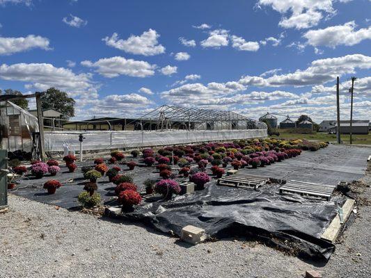 Stuckwish Farm Market