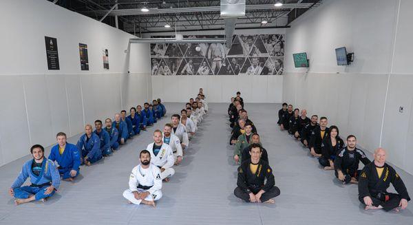 Alliance BJJ Houston