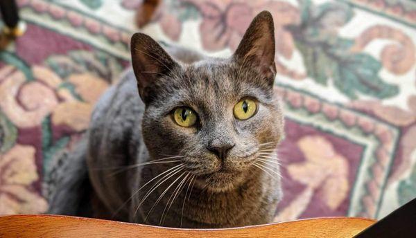 Broadview Animal Hospital of Milton