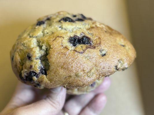 Blueberry Muffin