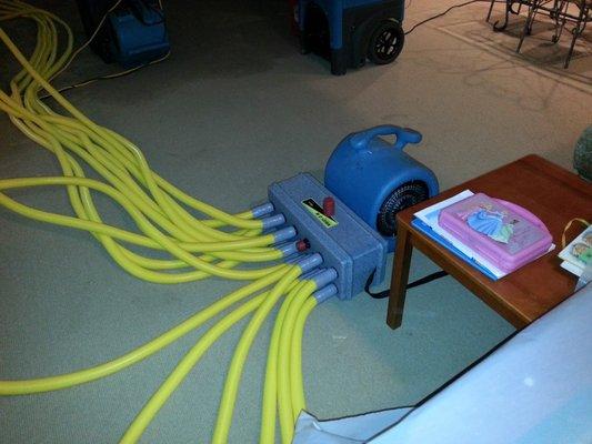 ASAP Restoration, Inc.