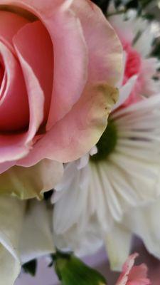 Golden Rose Florists