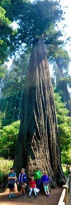 Simpson Reed Grove Trail