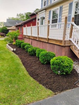 Damian's Landscaping