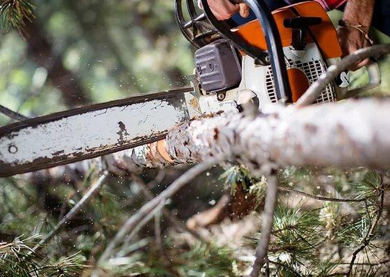 Independence Worx Services