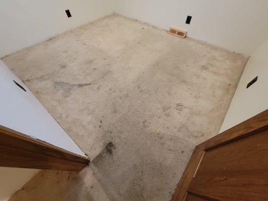 Fire House Carpet Cleaner