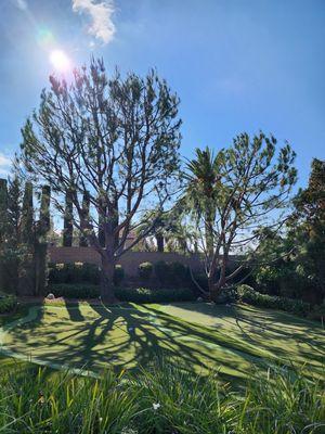 Original Mejia Landscaping