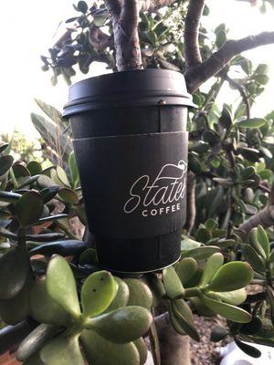 Smooth medium roast covfefe