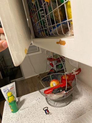 Royal Villa Apartments